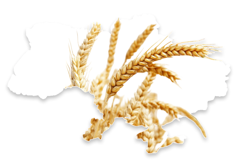 Map Of Ukraine